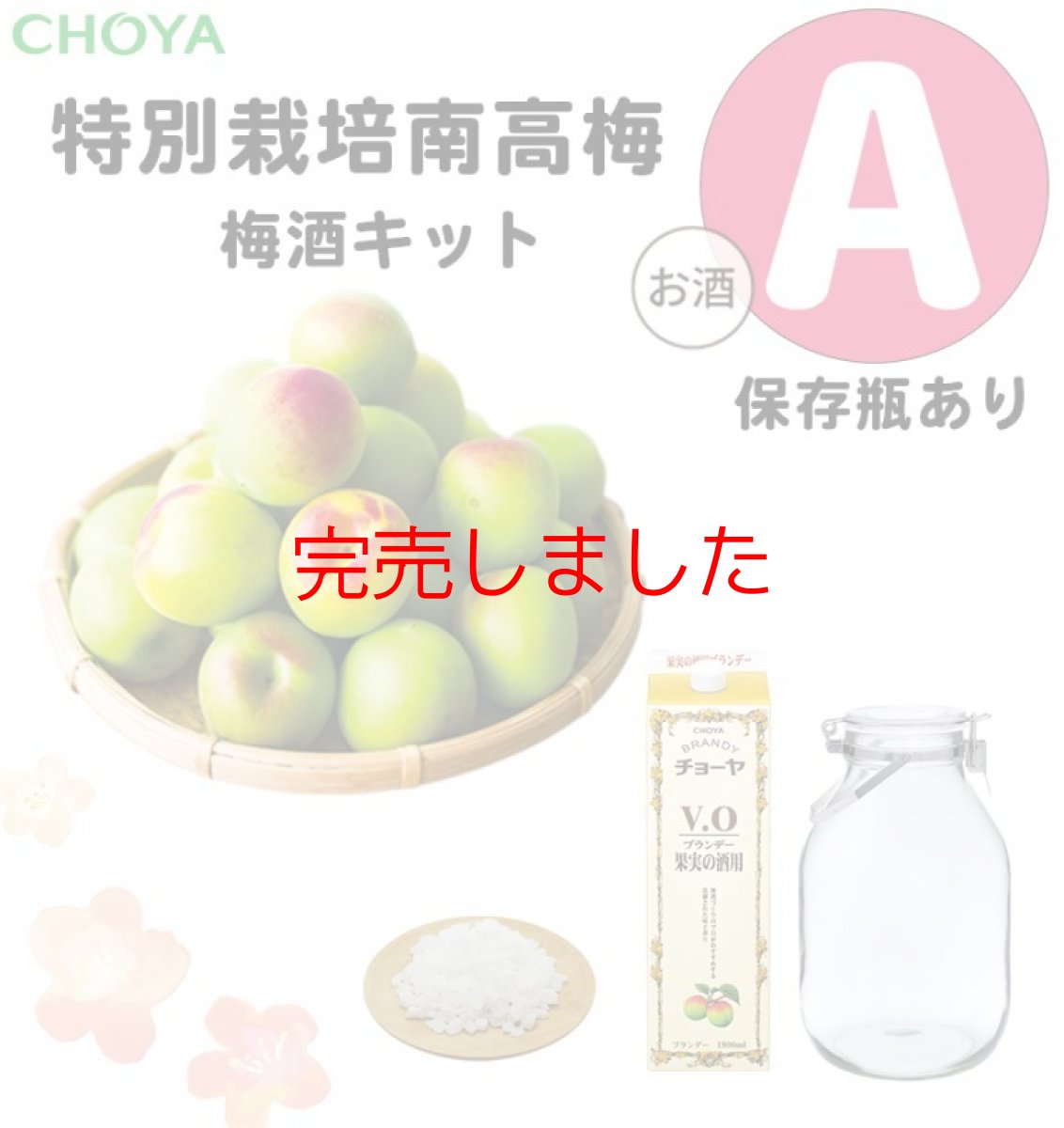 画像1: 【6月中旬ごろ発送予定】【 数量限定 】チョーヤ　手作り梅しごとキット2025　特別栽培南高梅×ブランデーV.O　梅酒キット【Ａ】（保存瓶あり） (1)
