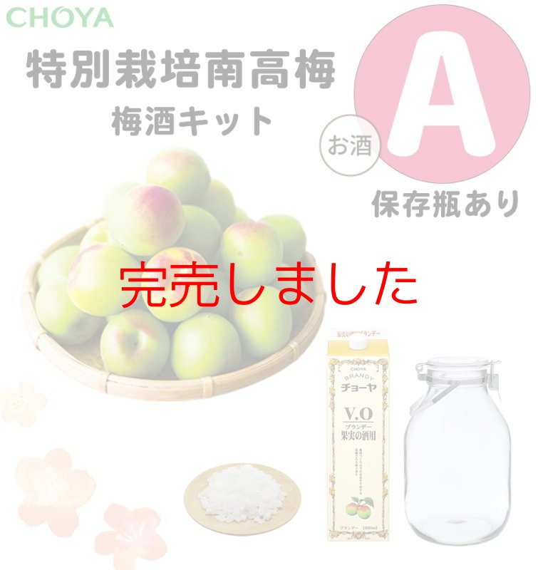 チョーヤ梅酒通信販売「蝶矢庵」【5月下旬ごろ発送予定】【 数量限定