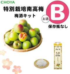 【6月中旬ごろ発送予定】【 数量限定 】チョーヤ　手作り梅しごとキット2024　特別栽培南高梅×ブランデーV.O　梅酒キット【B】（保存瓶なし）