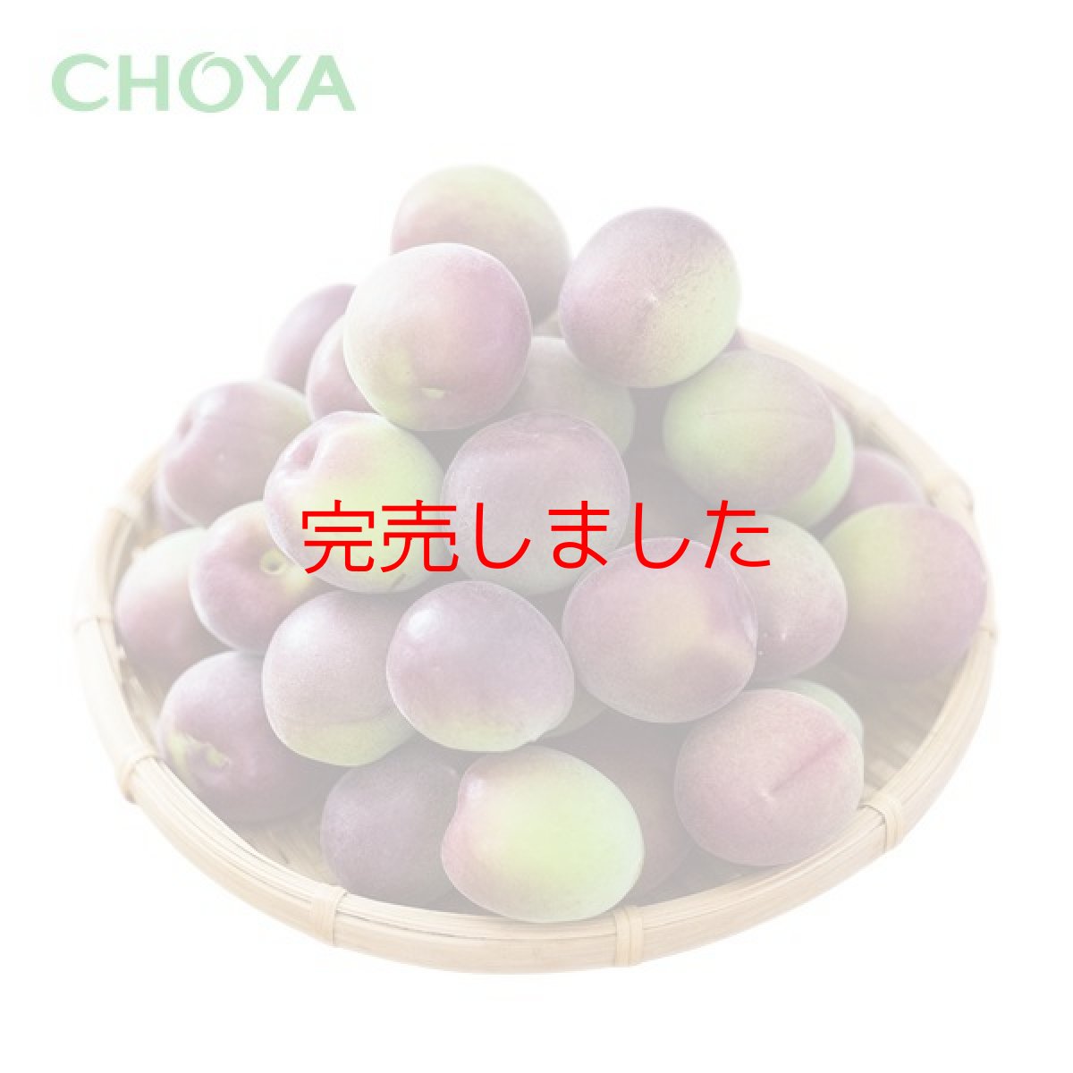 画像2: 【 6月上中旬ごろ発送予定】【 数量限定 】チョーヤ　手作り梅しごとキット2026　パープルキング　シロップキット【F】（保存瓶あり） (2)