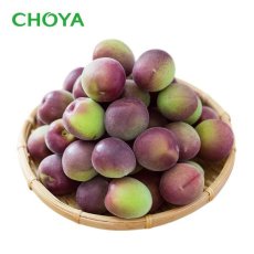 画像2: 【 まぜまぜメール登録者限定！500円オフ】【 6月上中旬ごろ発送予定】チョーヤ　手作り梅しごとキット2026　パープルキング×てんさい糖　シロップキット【F】（保存瓶あり） (2)