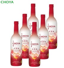 画像1: 【予約商品】CHOYA ICE NOUVEAU 氷熟梅ワイン2025  720ml×6本【数量限定】【送料無料】 (1)
