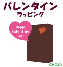 画像2: チョーヤ 本格梅酒 『 エクセレント 』 (2)