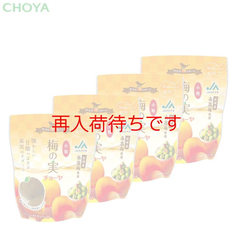 チョーヤ梅酒通信販売「蝶矢庵」【数量限定】チョーヤ 梅酒のうめ