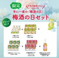 画像1: 【6/30まで！】年に一度の梅酒の日ドリンクセット　9%オフ！【送料無料】 (1)