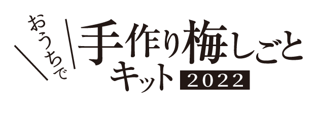 チョーヤ手作り梅しごと2022
