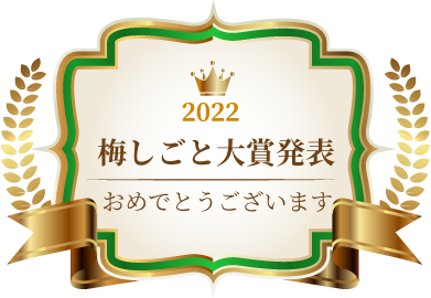 手づくり梅しごとキット22 チョーヤ梅酒通信販売 蝶矢庵