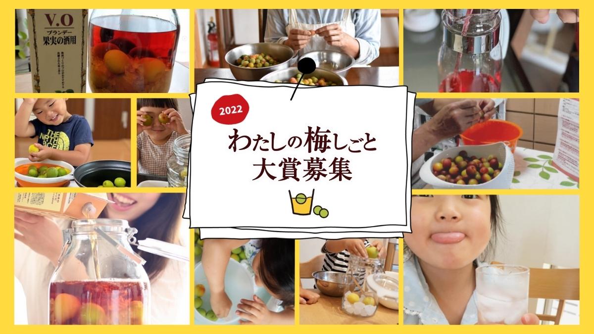 手づくり梅しごとキット22 チョーヤ梅酒通信販売 蝶矢庵