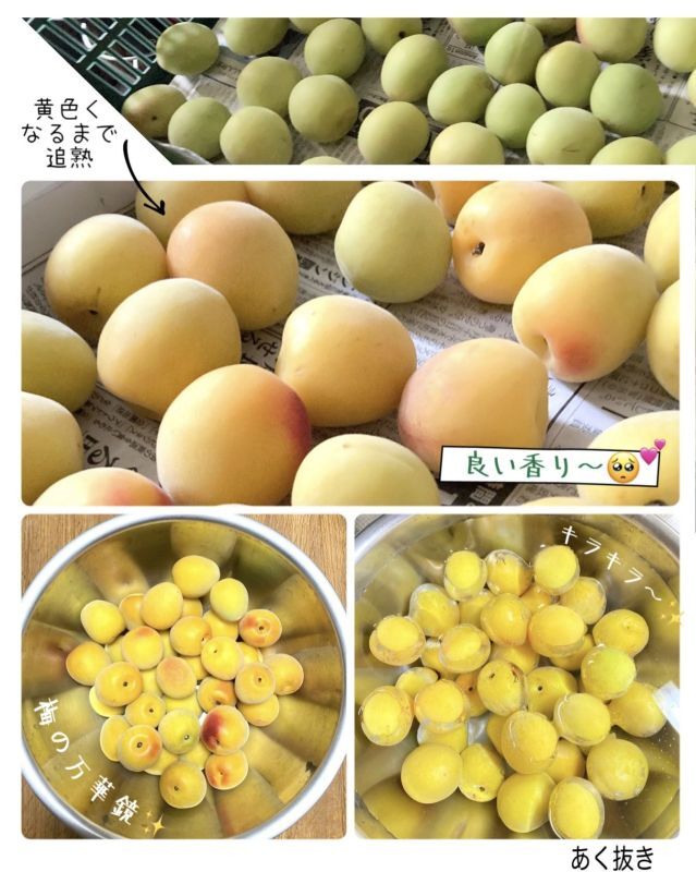 梅しごと大賞01