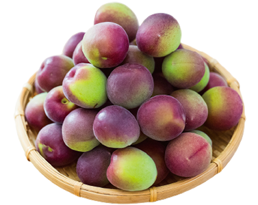 パープルキング