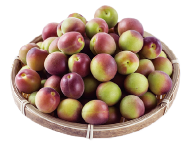 パープルクイーン