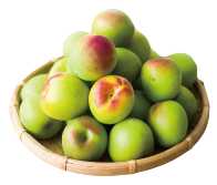 特別栽培南高梅