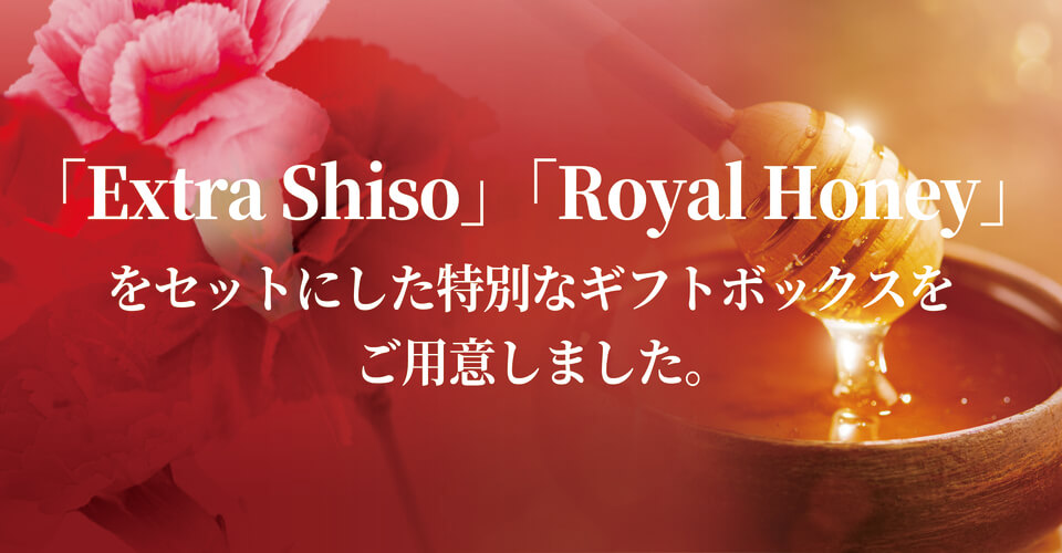 exギフトセット