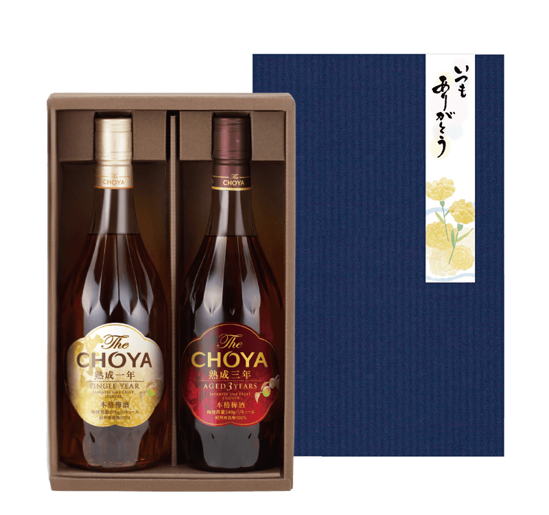 TheCHOYA giftedition