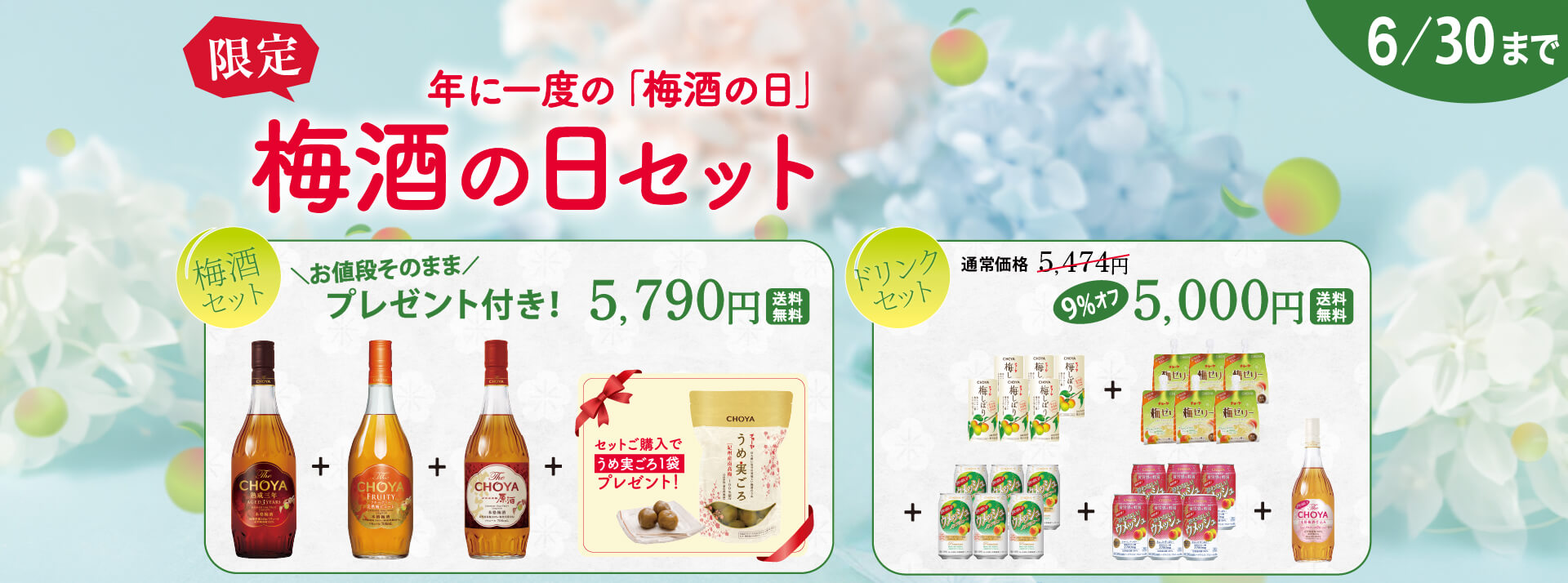 梅酒の日セット