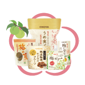 梅の恵みセット