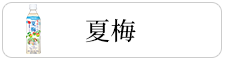 夏梅