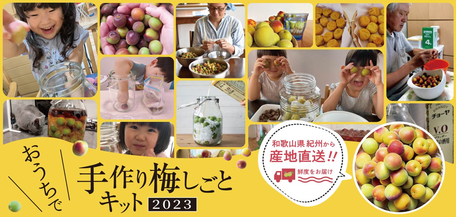 手づくり梅しごとキット