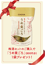 プレゼント
