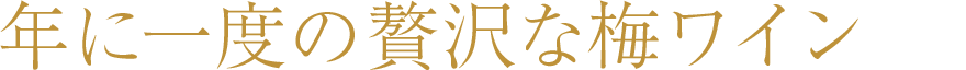 年に一度の贅沢な梅ワイン