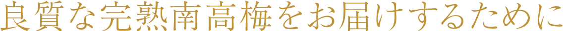 良質な完熟南高梅をお届けするために 